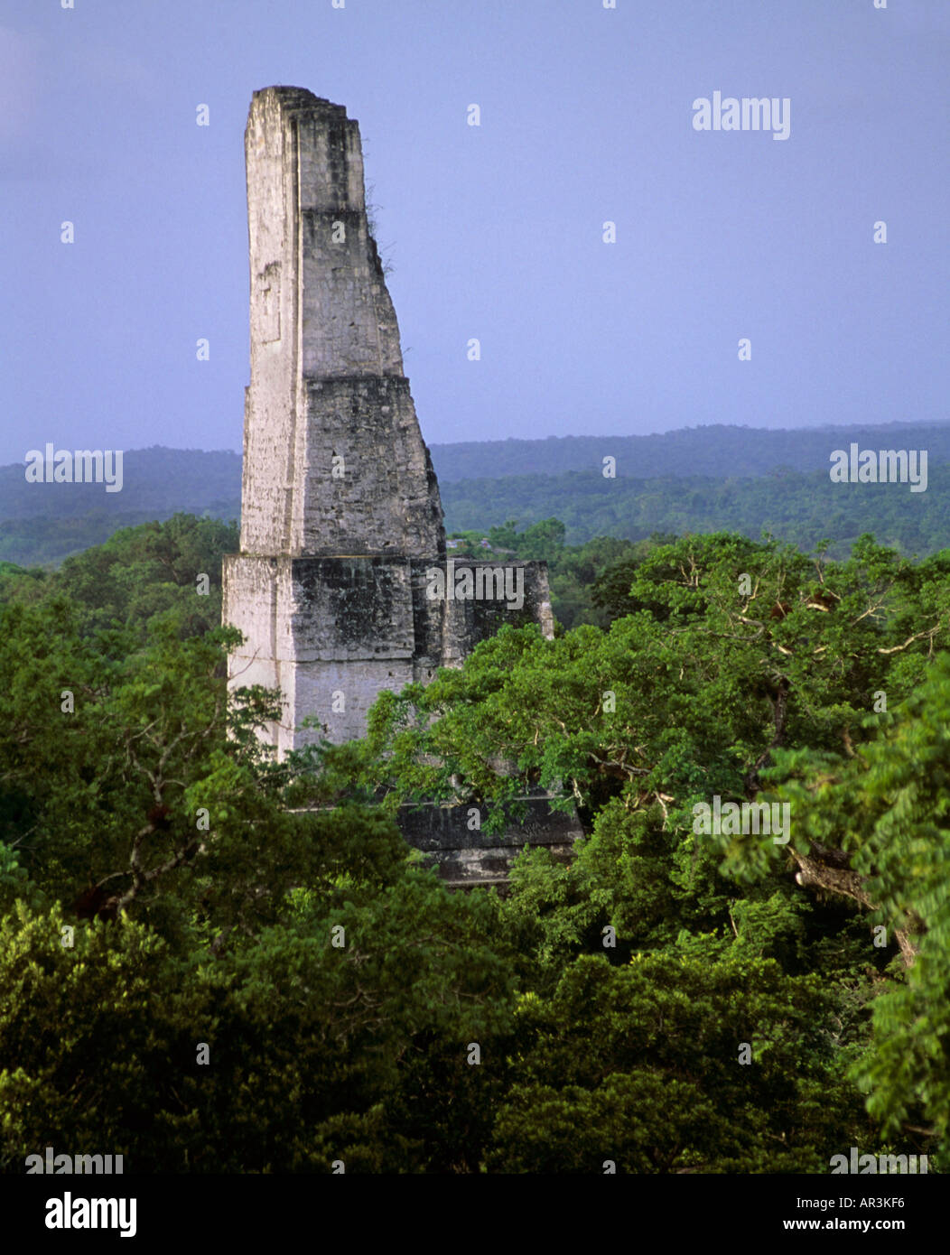 Tikal, Peten, Guatemala Stock Photo Alamy