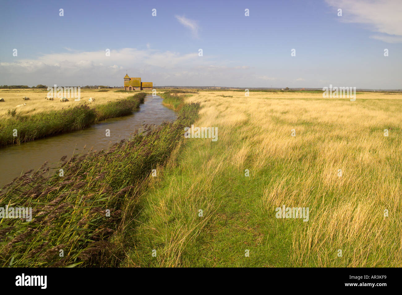 Romney Marsh landscape and Fairfield Churcho of St Thomas Becket near the village of Brookland, Kent Stock Photo