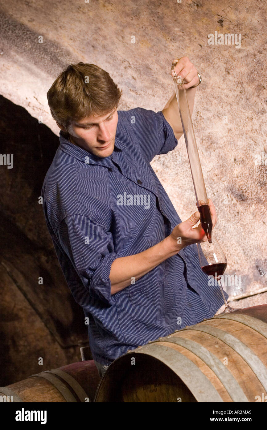 Young cellarmaster at work in wine cellar Stock Photo