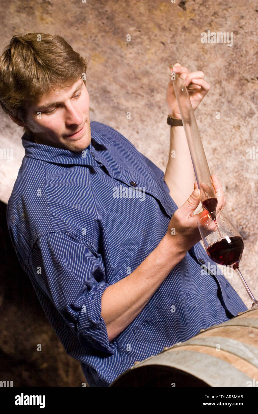 Young cellarmaster at work in wine cellar Stock Photo