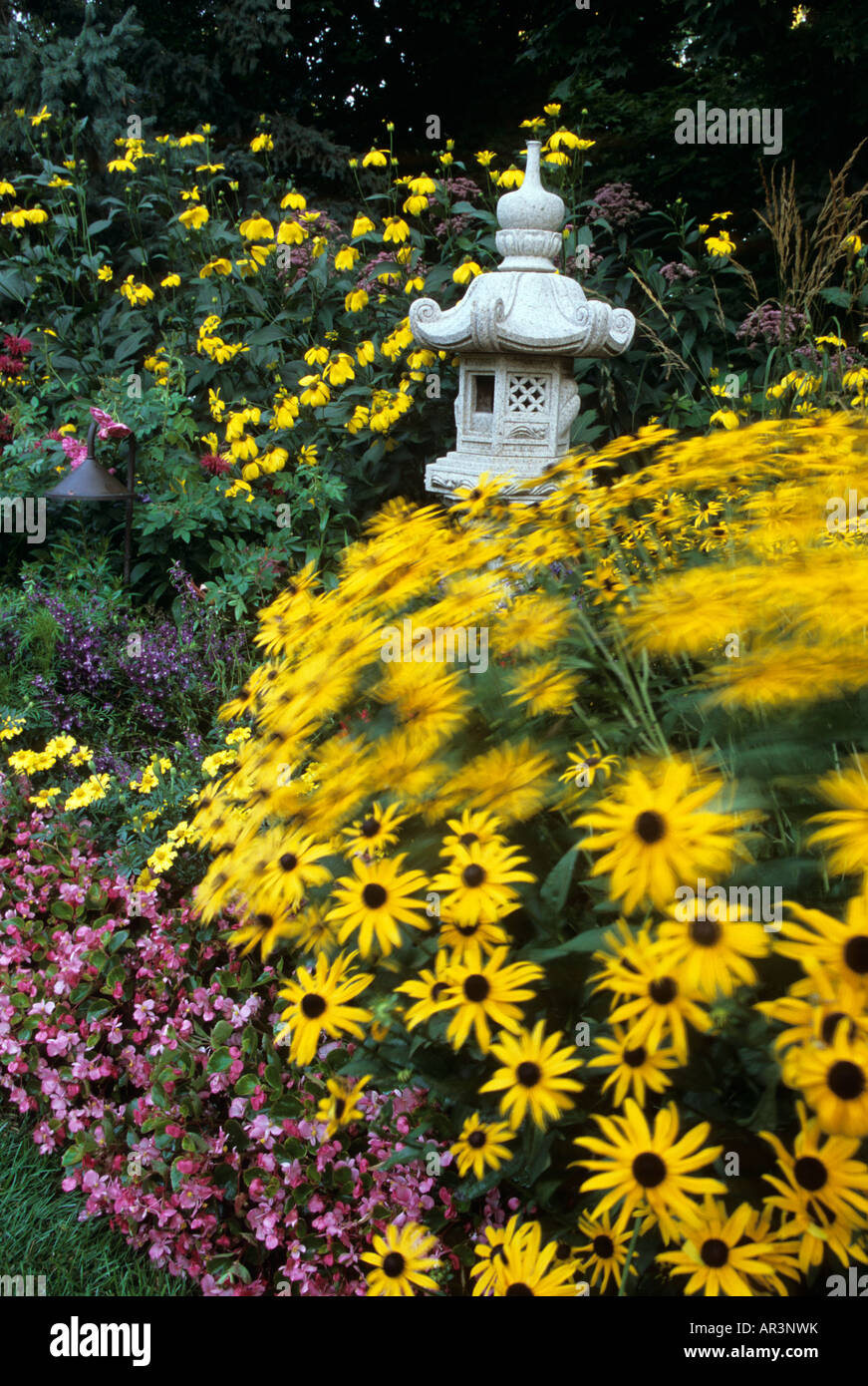 BLOWN BY THE WIND, RUDBECKIA AND BEGONIA PLANTS SURROUND ORNATE CONCRETE BIRDHOUSE IN A MINNESOTA GARDEN.  SUMMER. Stock Photo