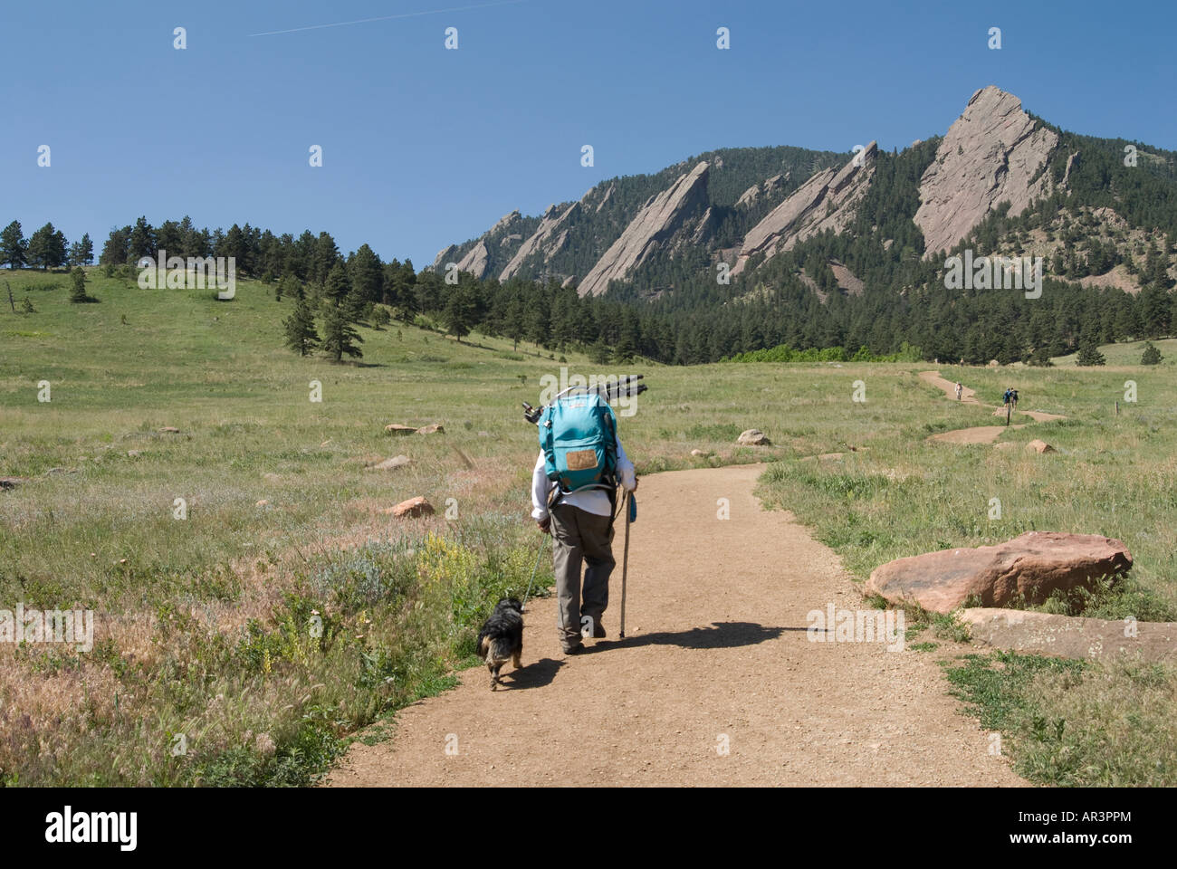 Man and dog hiking hi-res stock photography and images - Alamy