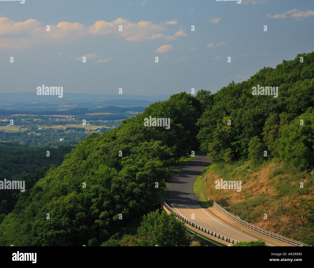 Mountains Summer Forest Driving Trees Road Scenic Drive Curve High