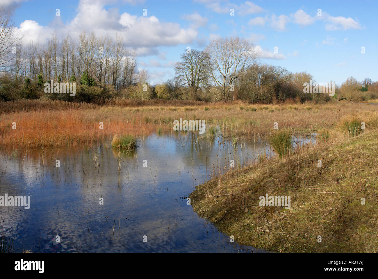 Radley Lakes Abingdon Oxfordshire, controversial site for the disposal