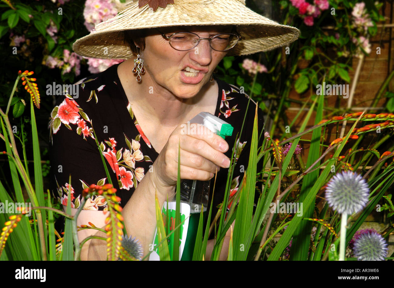 GARDENER USING BUG SPRAY  ENGLAND Stock Photo