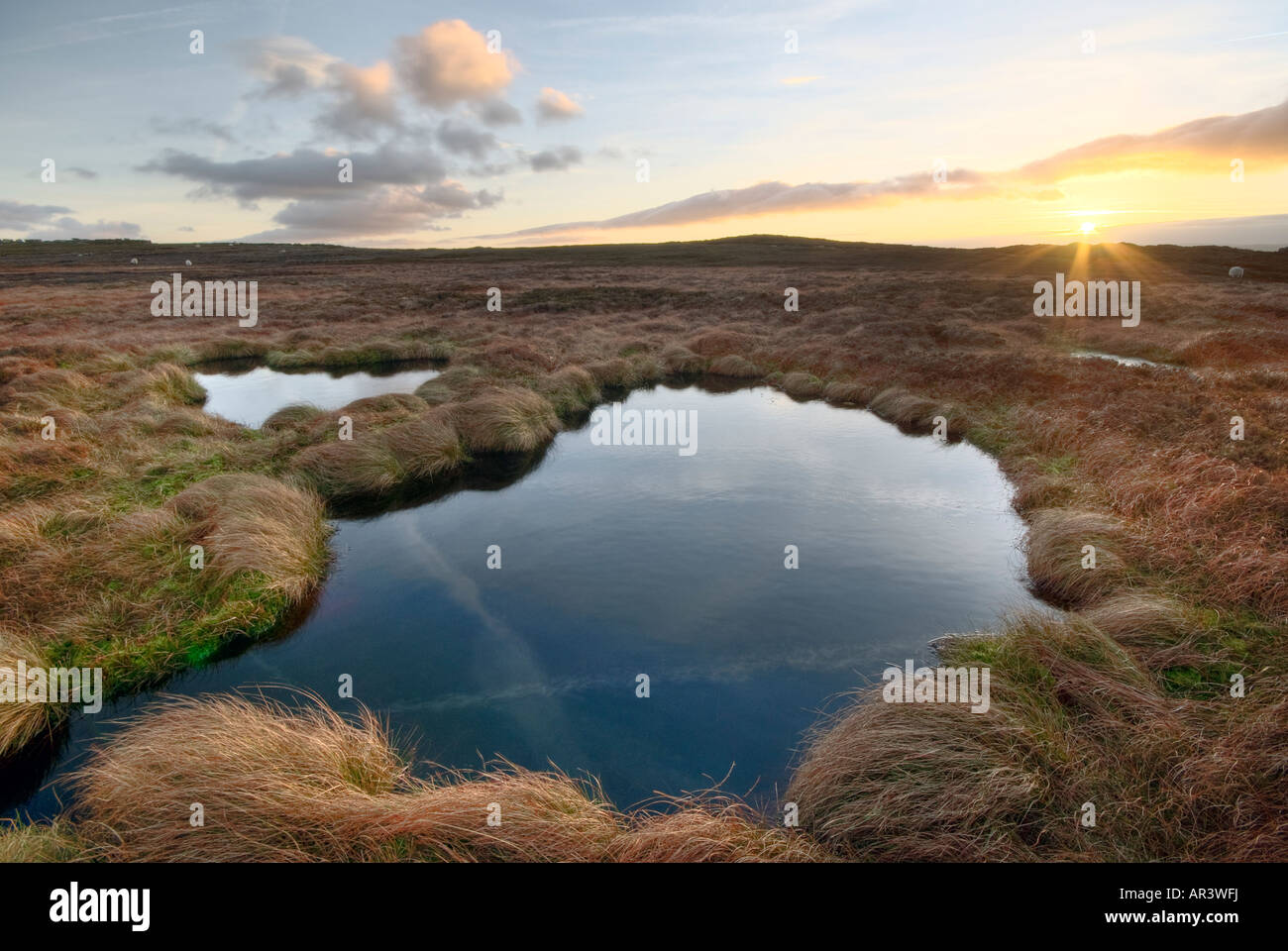Moorland Bog on Hallam Moors in Derbyshire "Great Britain Stock Photo