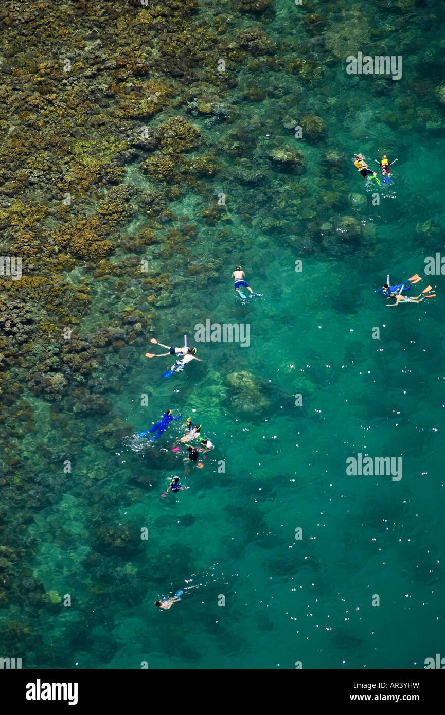 Snorkeling Low Isles Great Barrier Reef Marine Park near Port Douglas North Queensland Australia