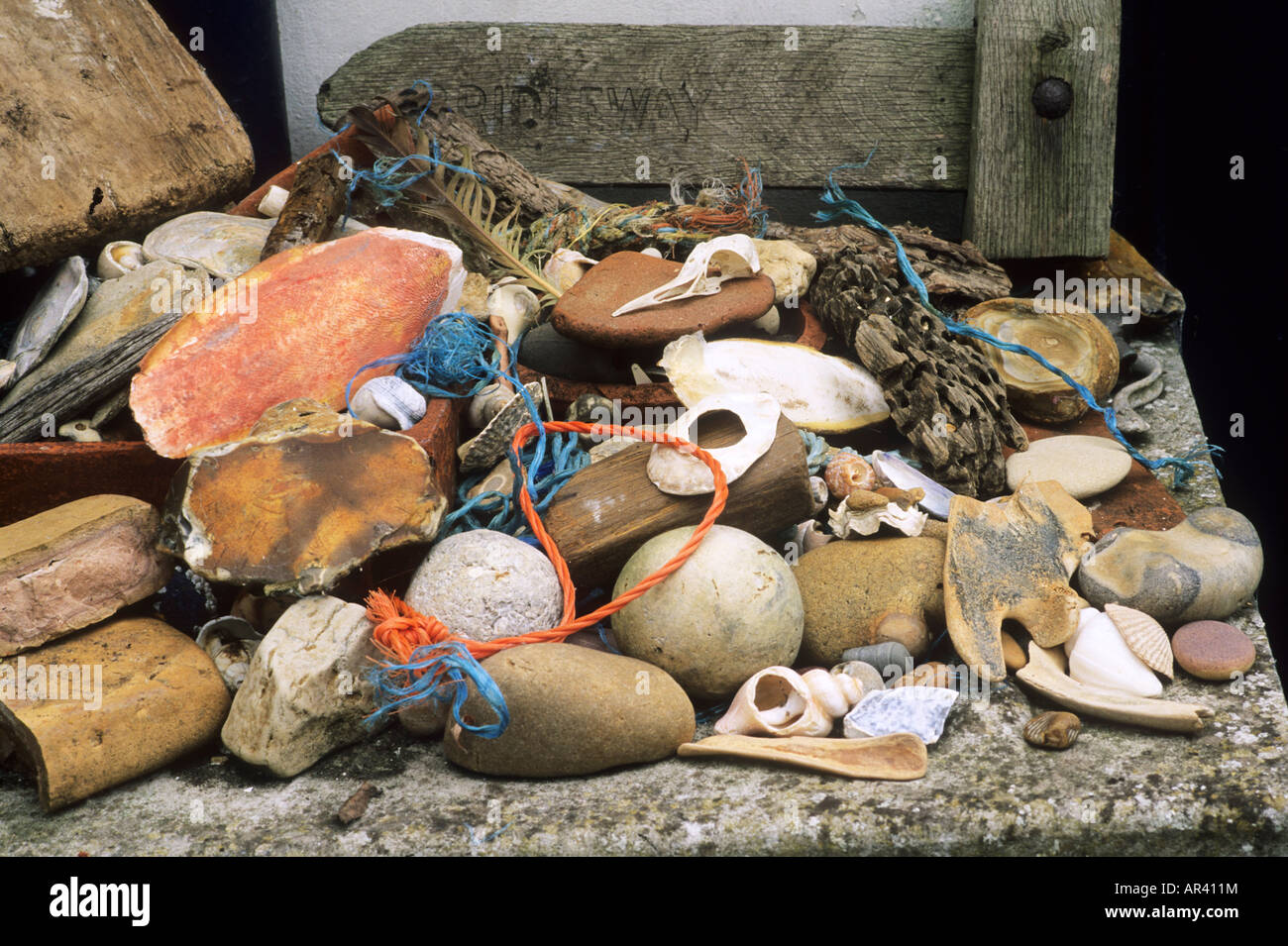 Seaside Garden driftwood pebbles rope from beach still life sea shells drift wood Stock Photo