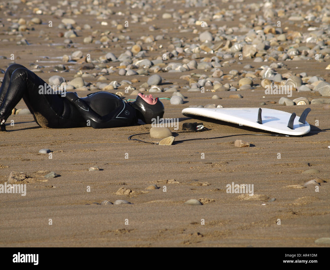 Female surfer in full winter wetsuit, resting on the beach next to her surfboard Stock Photo Alamy