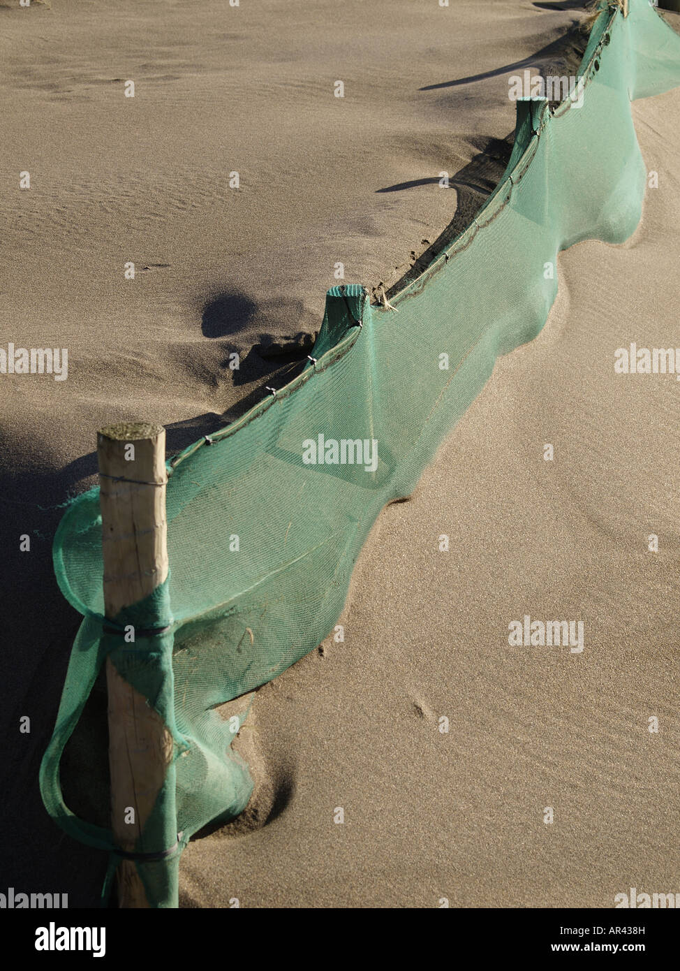 Green Netting buried in the sand to stop it being blown away . Stock Photo