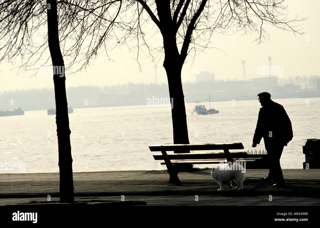Rotterdam river man hiking walking Netherlands Stock Photo Alamy