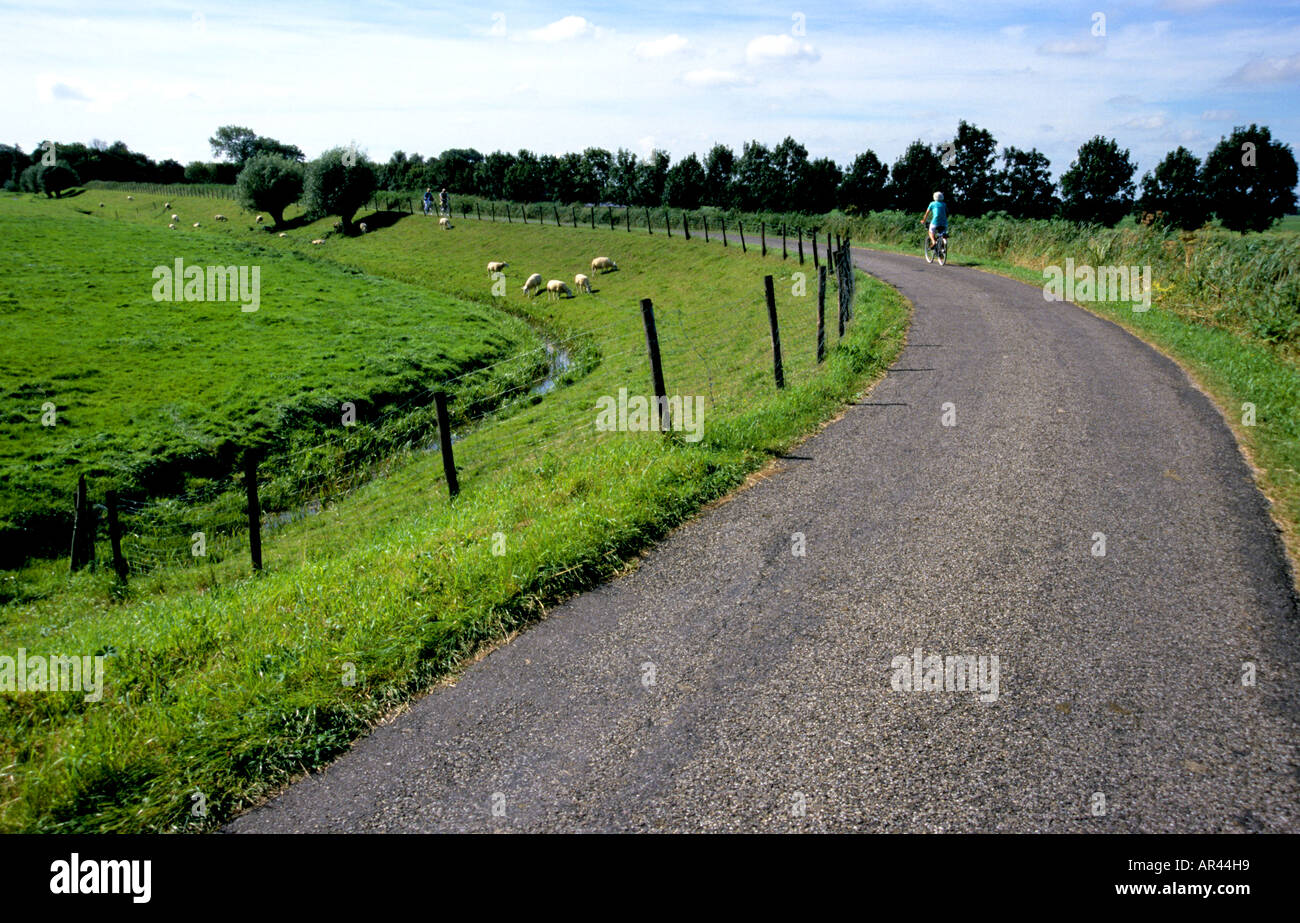 Netherlands Holland  country farm  road Stock Photo