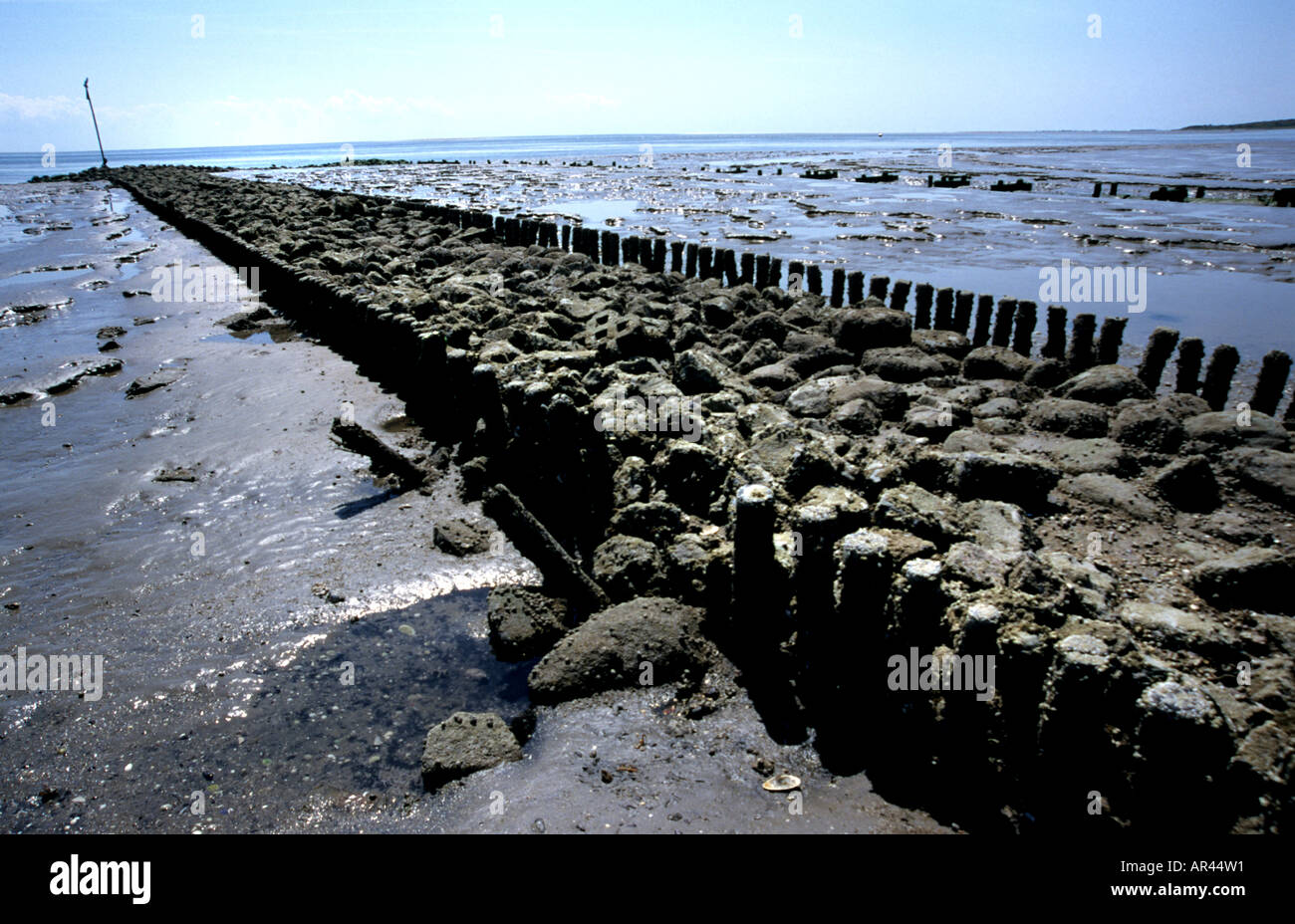 texel ameland terschelling vlieland friesland waddenzee wad netherlands ...