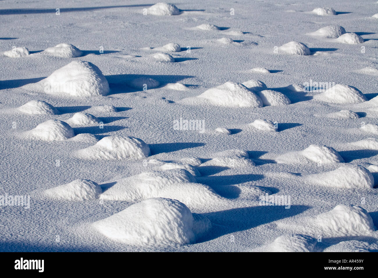 Yellowstone National Park in winter snow mounds at Norris Geyser Basin Stock Photo