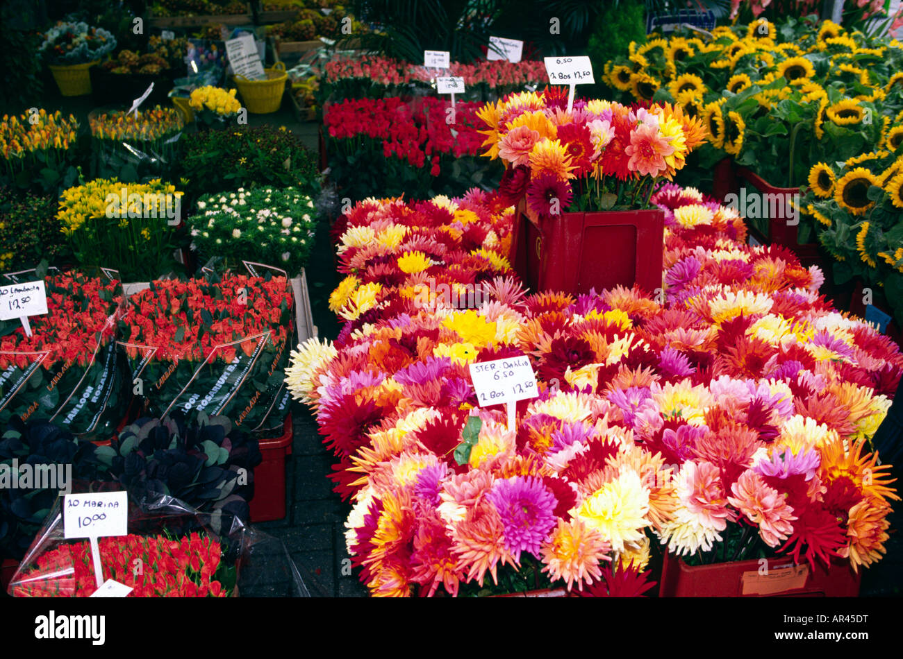 Amsterdam flower market hires stock photography and images Alamy