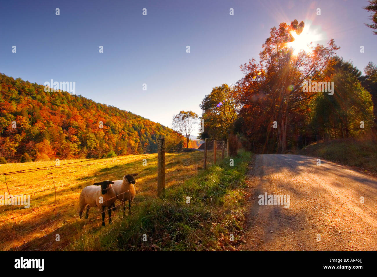 Williamsville hires stock photography and images Alamy
