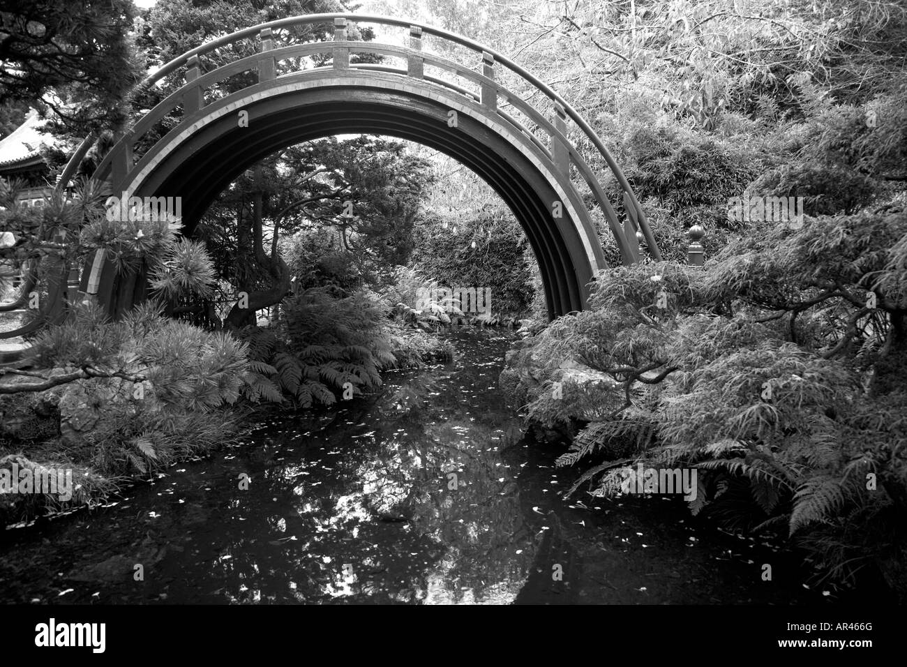Golden gate in black and white hi-res stock photography and images - Alamy