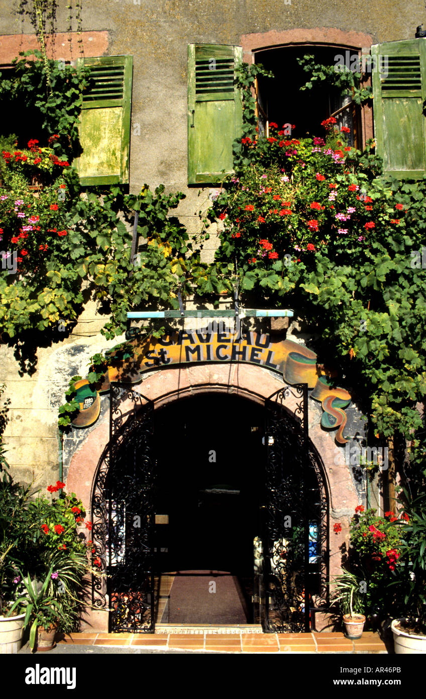 France Wine Harvest Vintage Grapes Vineyard Agriculture Grapes Alsace PfaffenheimAlsace Half Timber historic Route des Vins Stock Photo