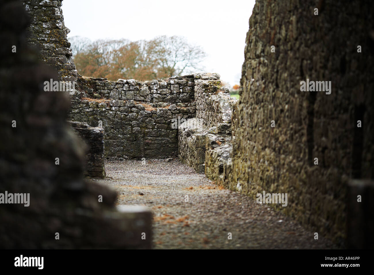 Hoare Abbey Halls in Cashel County Tipperary Republic of Ireland Europe Stock Photo