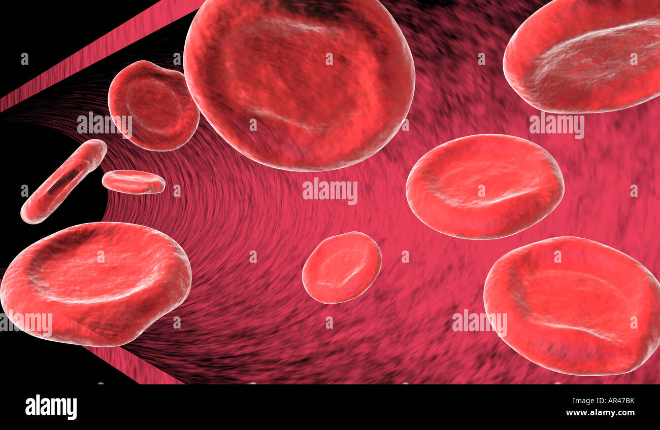 9 red blood cells erythrocytes floating by in artery Stock Photo