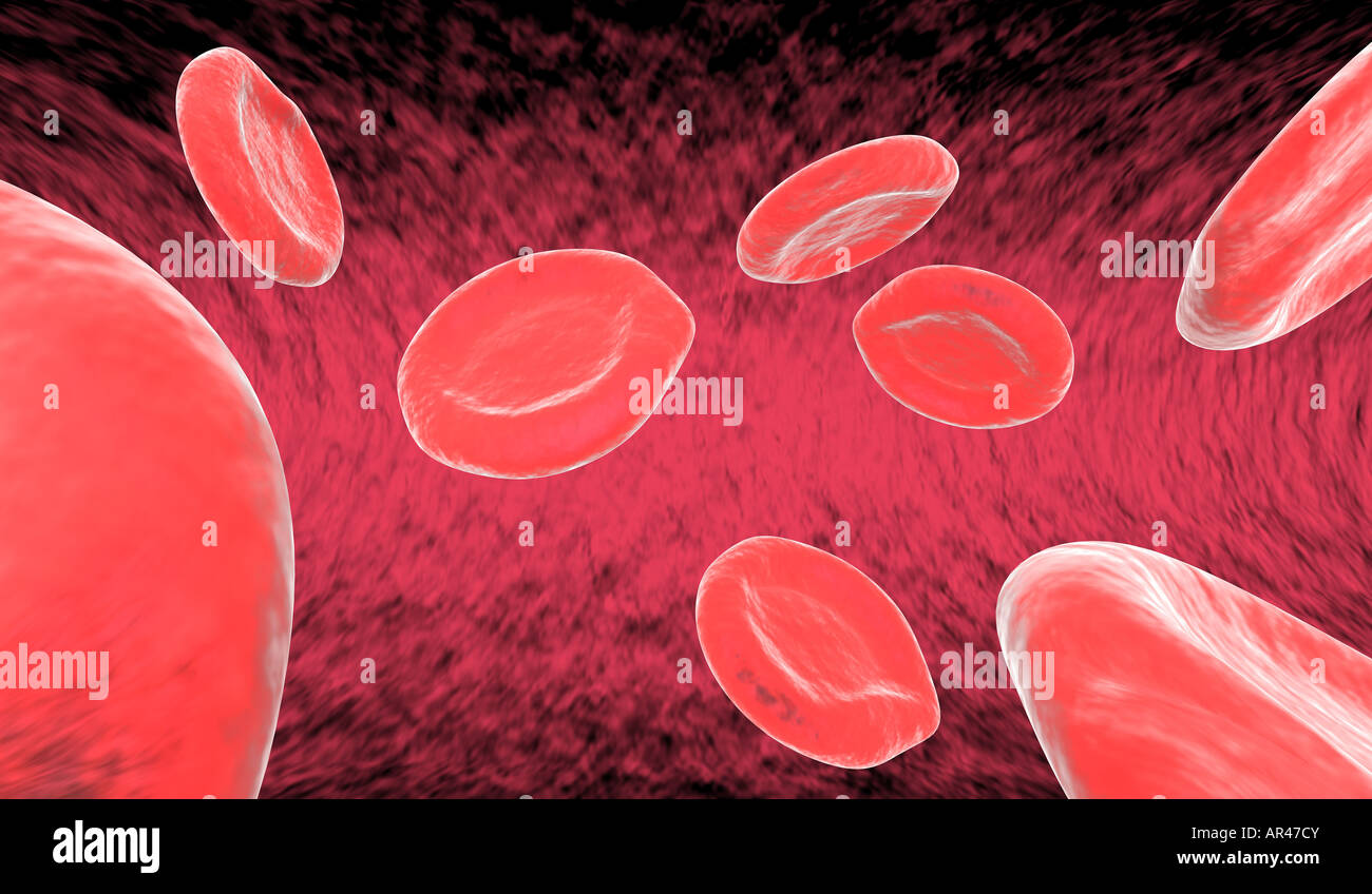 8 red blood cells erythrocytes floating by in artery Stock Photo