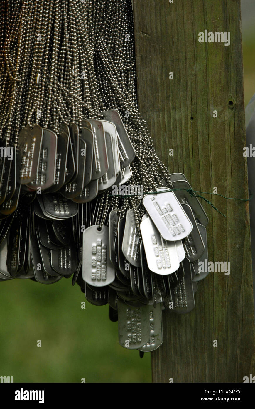 what do dog tags represent