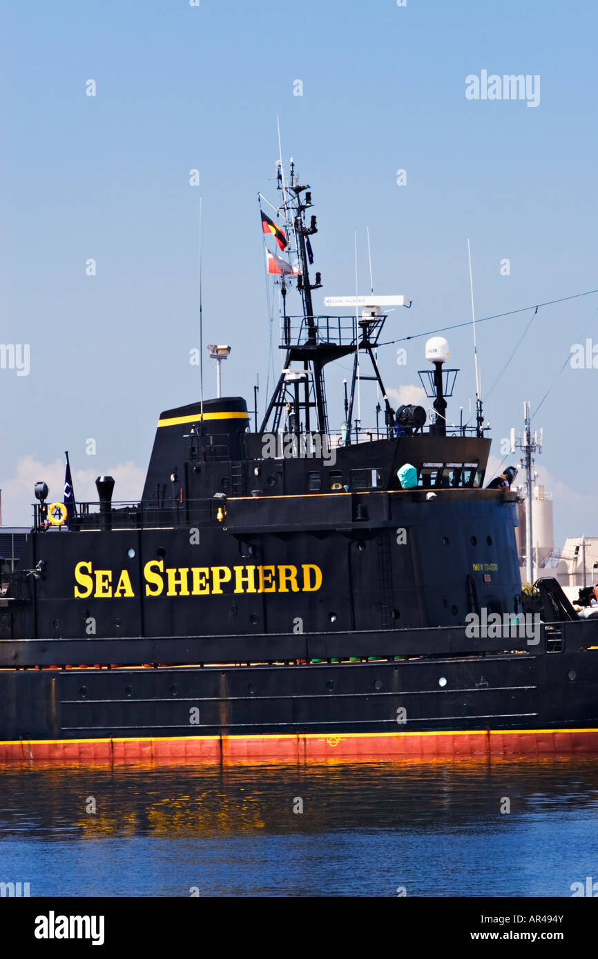 Sea Shepherd Store - #SundayFunday – Sea Shepherd has had many vessels in  Neptune's Navy. Starting in 1978 with Ex-British trawler Westella which  became (>) Sea Shepherd. * Ex-fishing trawler St. Giles >