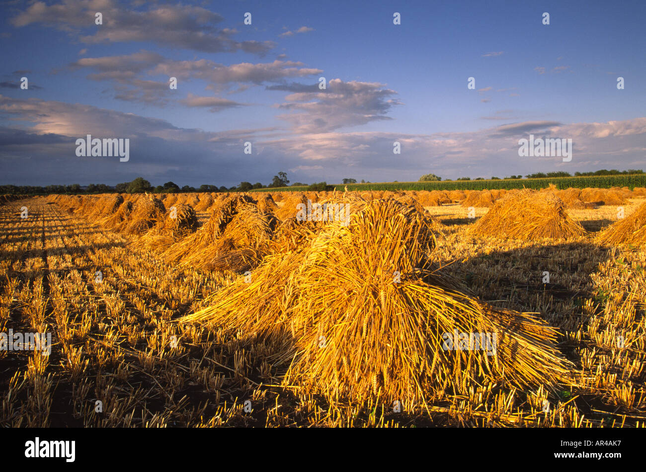 Burrow bridge hi-res stock photography and images - Alamy