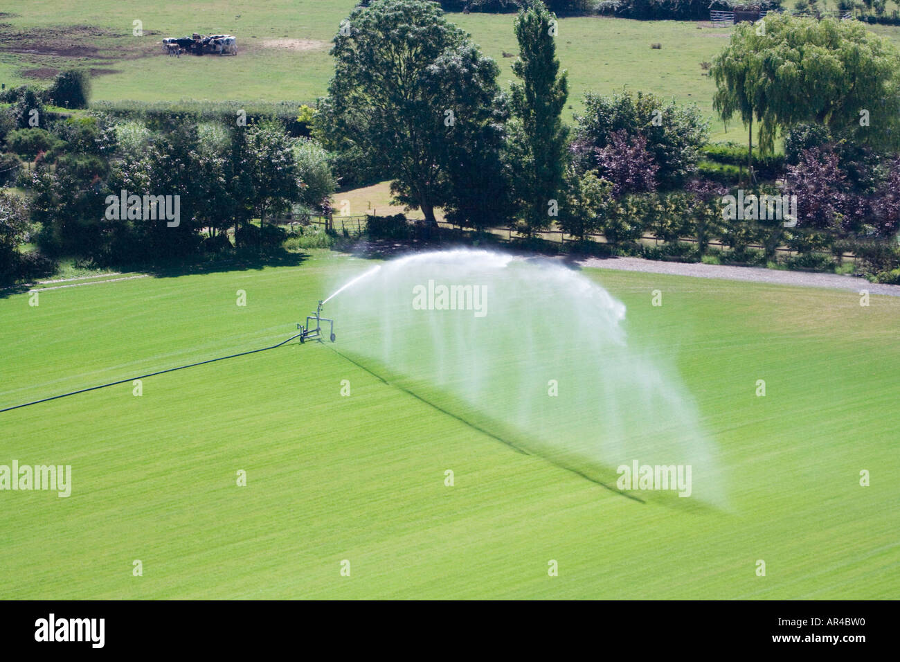 Aerial view of commercial sprinkler. High pressure irrigation of crops agricultural land and lawns.  Farm. Dorset. UK. Summer Stock Photo