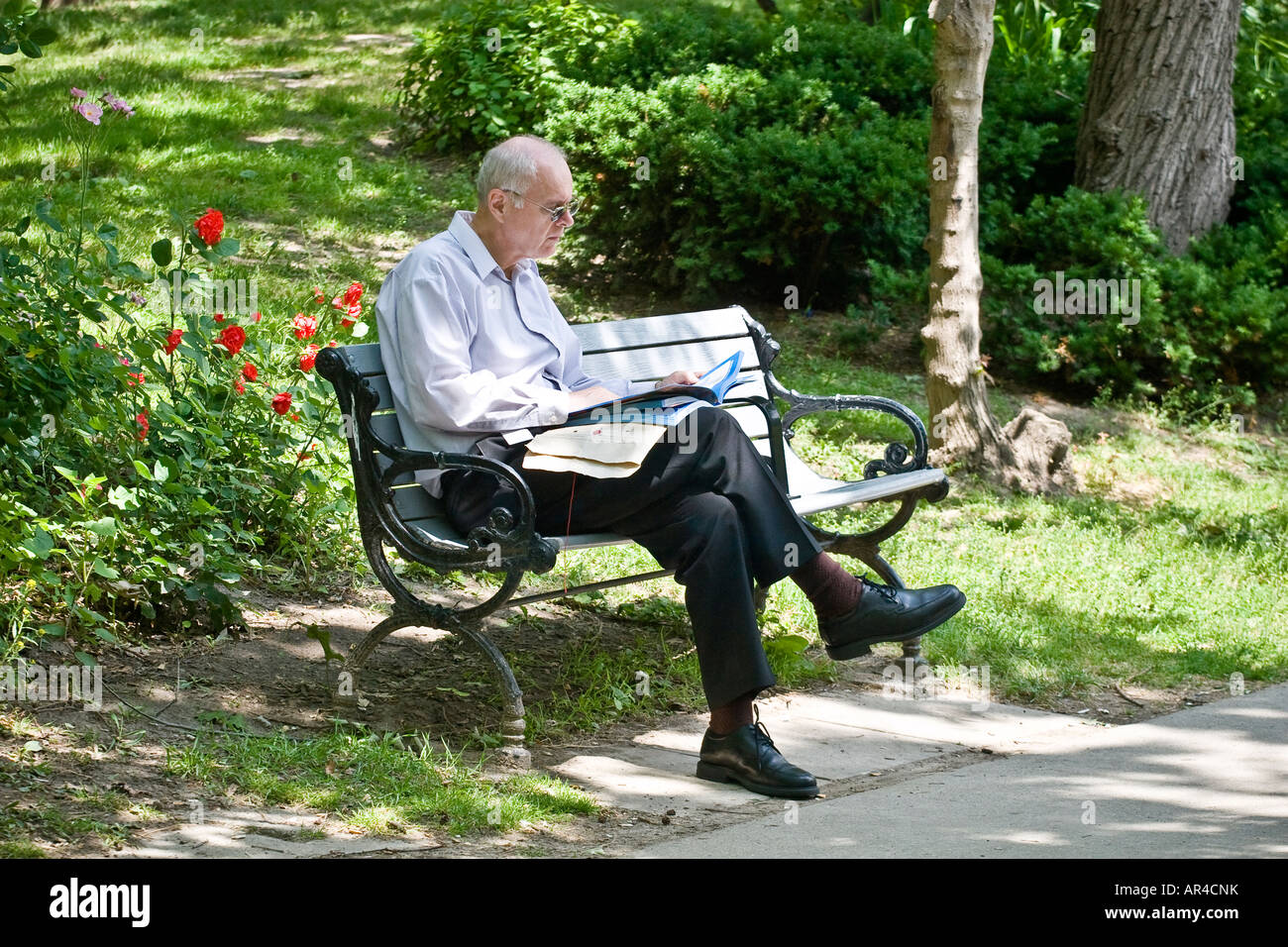 Man reading on a park bench Stock Photo - Alamy