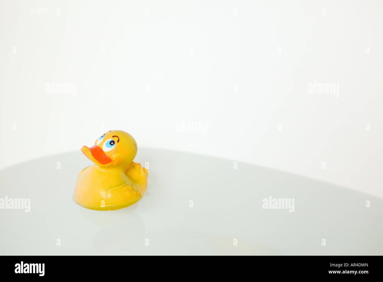 Rubber duck in bathtub Stock Photo Alamy