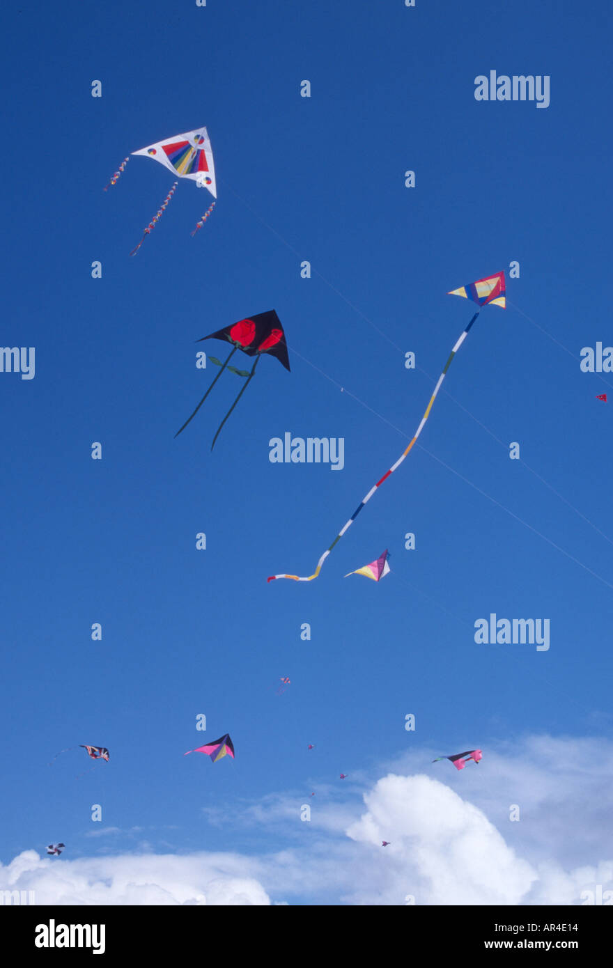 sky full of delta kites Long Beach International Kite Festival Long Beach Washington USA US U S