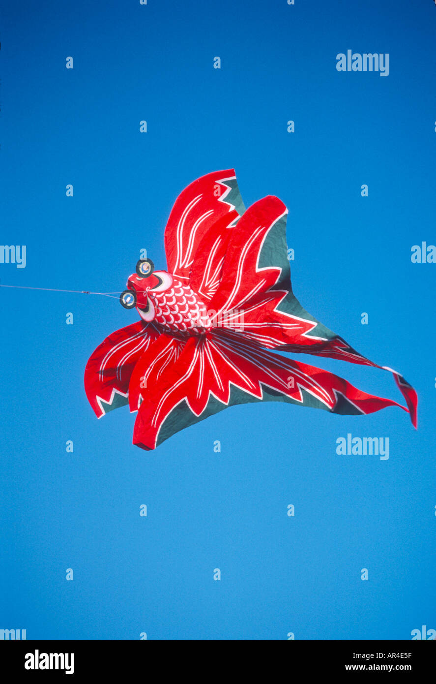 Chinese Fish Kite