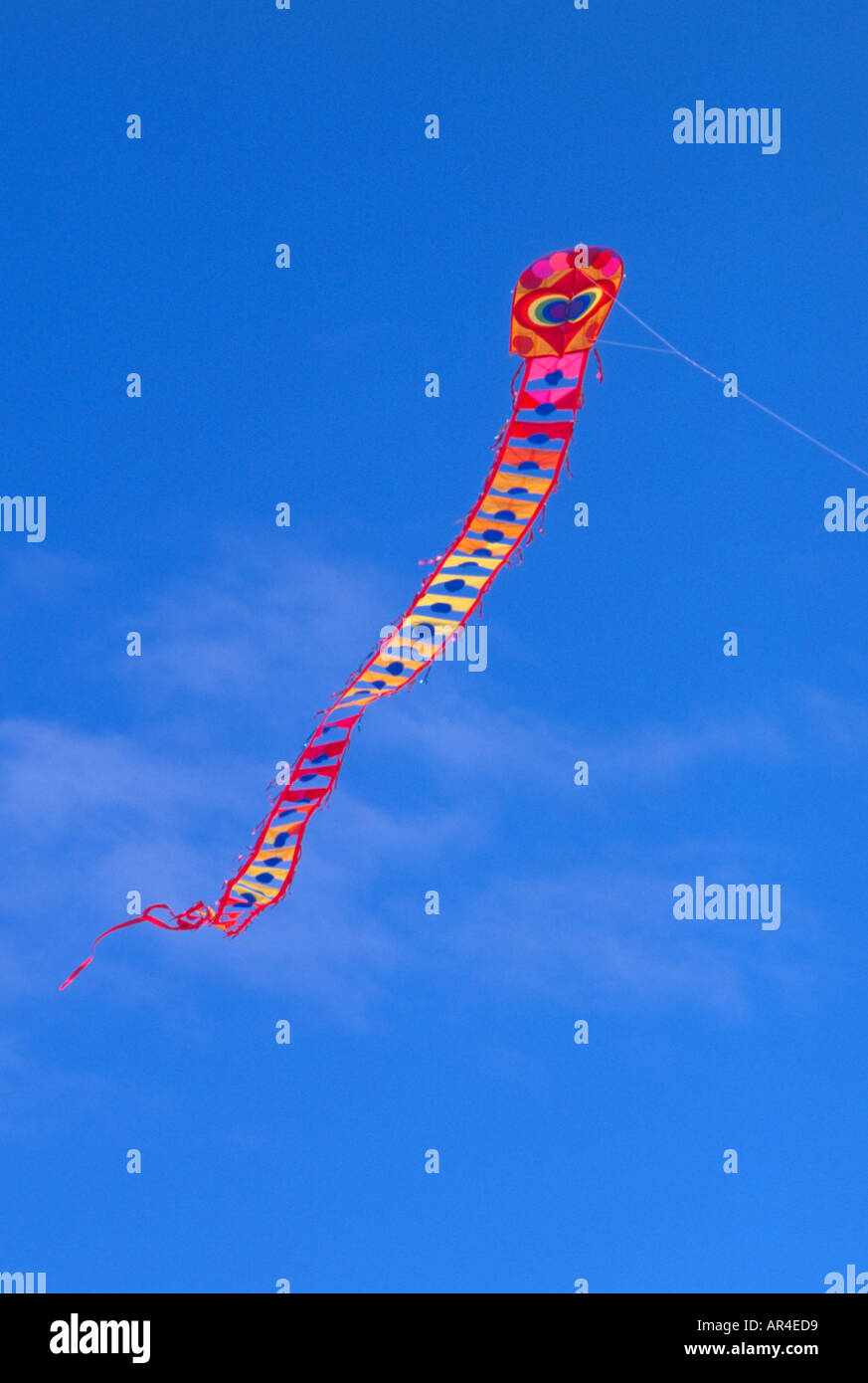 Chinese style serpent kite in flight Long Beach International Kite Festival Long Beach