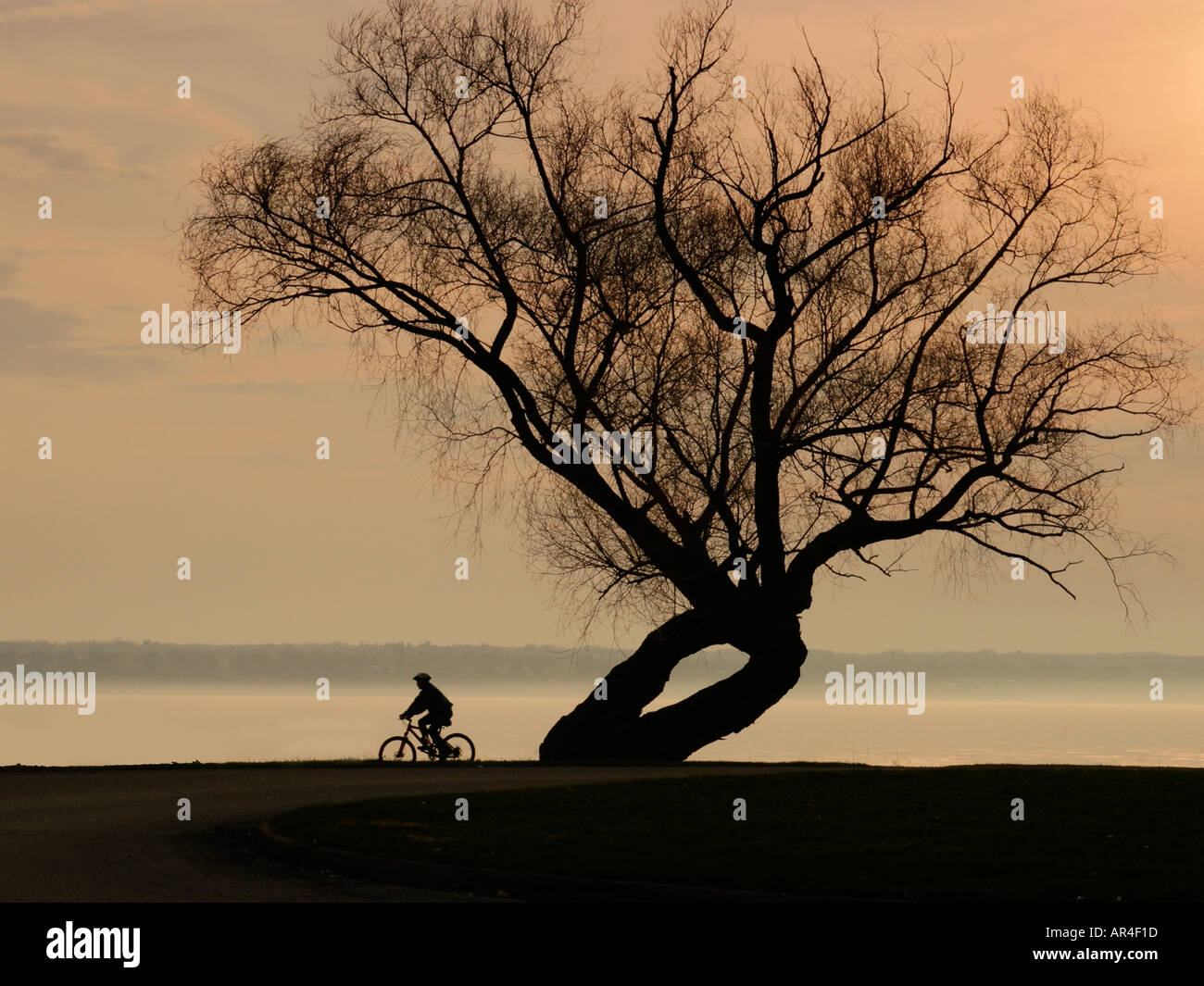 New york finger lakes bicycle hires stock photography and images Alamy