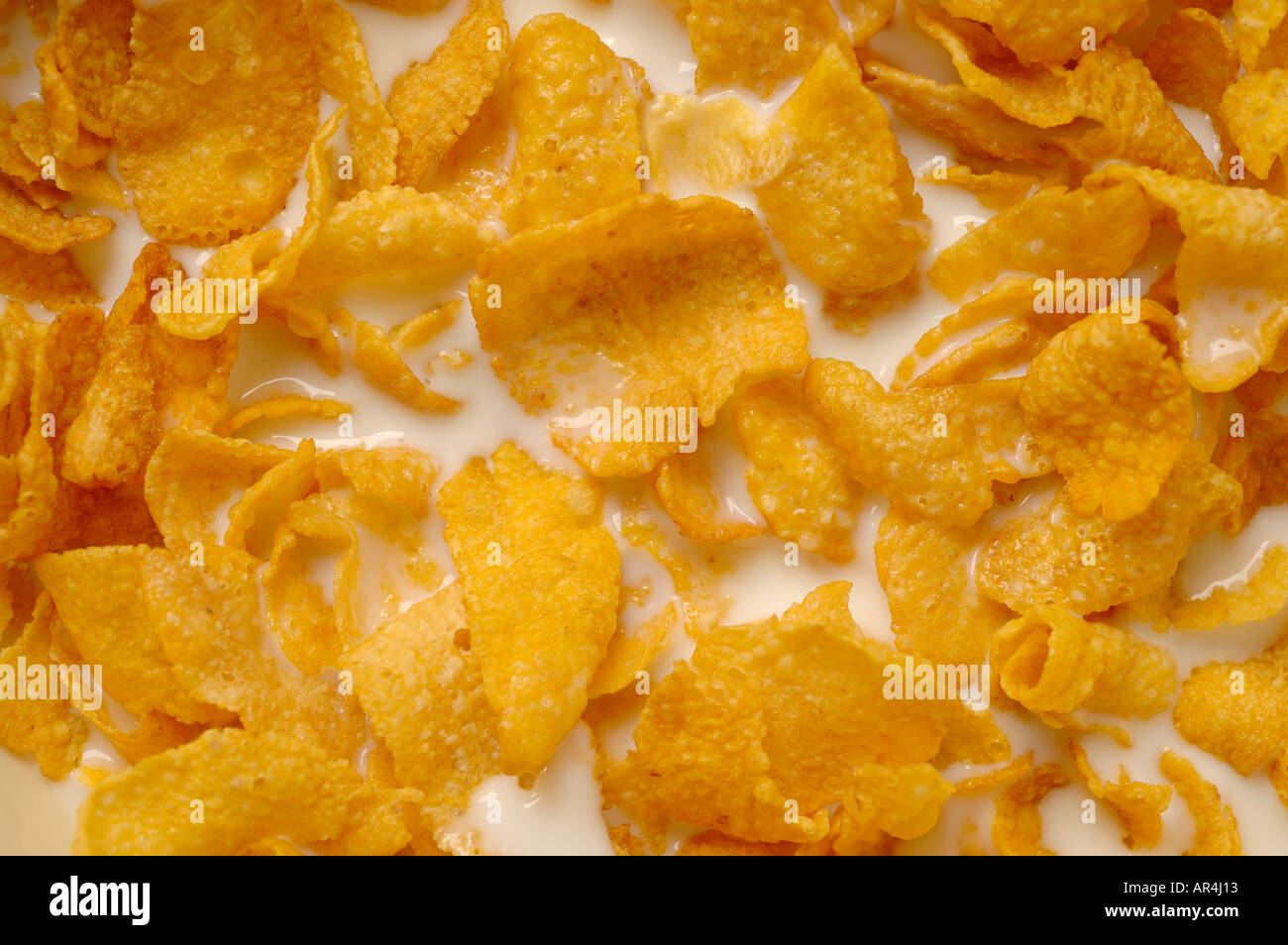 Corn flake cereal with milk Stock Photo
