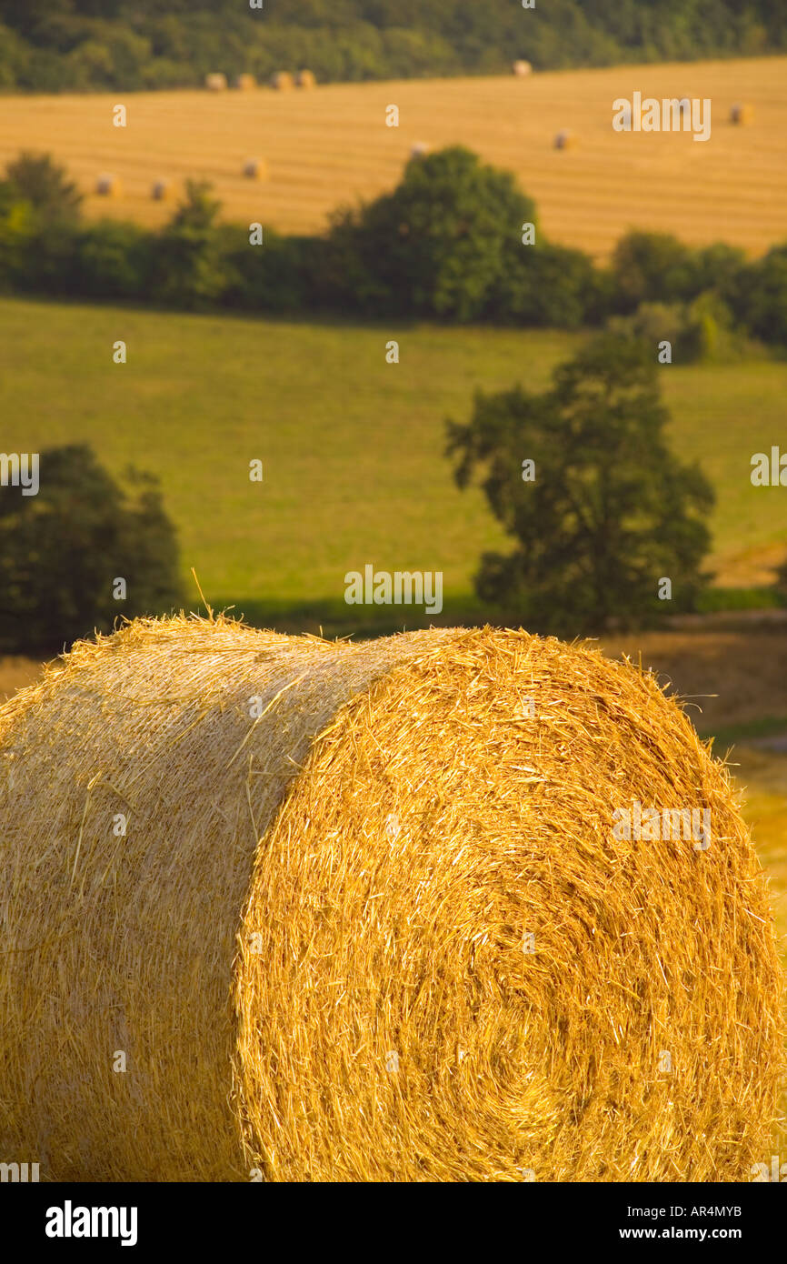 Cobham kent england hires stock photography and images Alamy