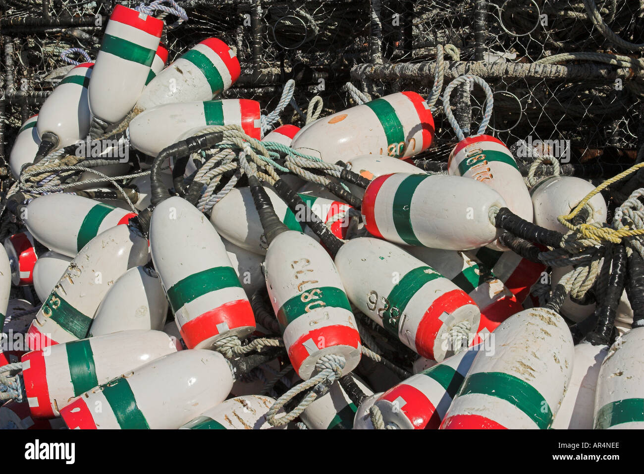 Crab pots and floats at Newport Oregon docks 2005 Stock Photo Alamy