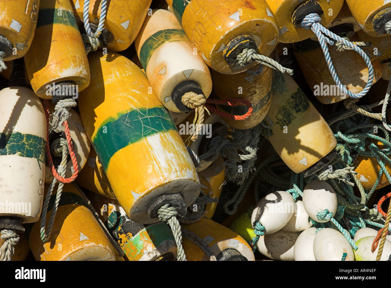 Crab pots and floats at Newport Oregon docks 2005 Stock Photo Alamy