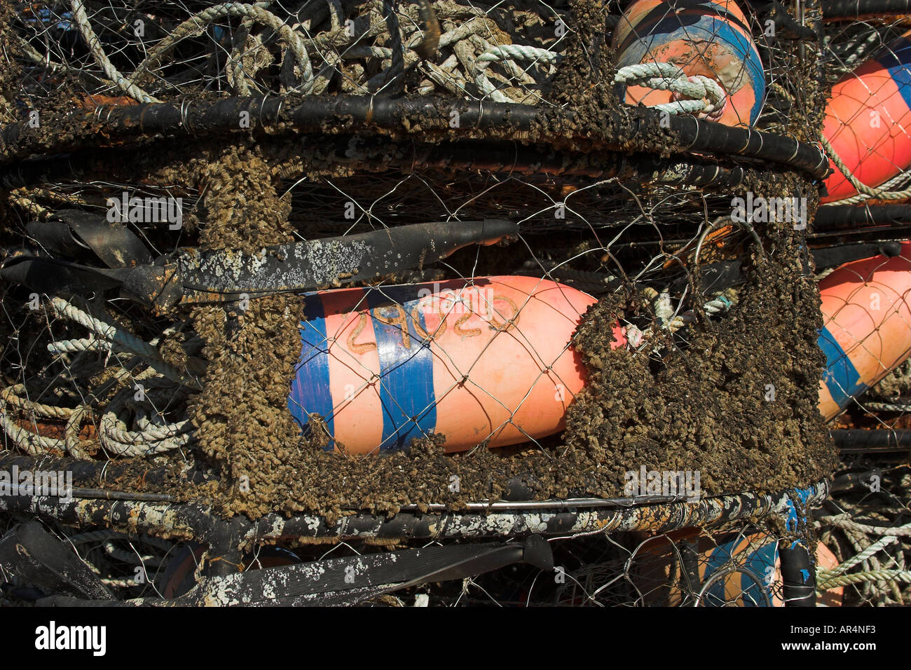 Crab pots and floats at Newport Oregon docks 2005 Stock Photo Alamy