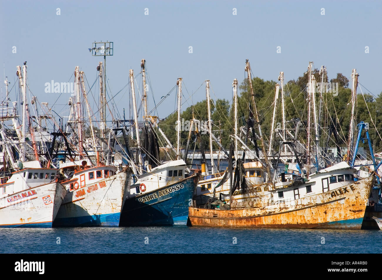 Fishing boats in harbor Puerto Penasco Sonora Mexico Stock Photo