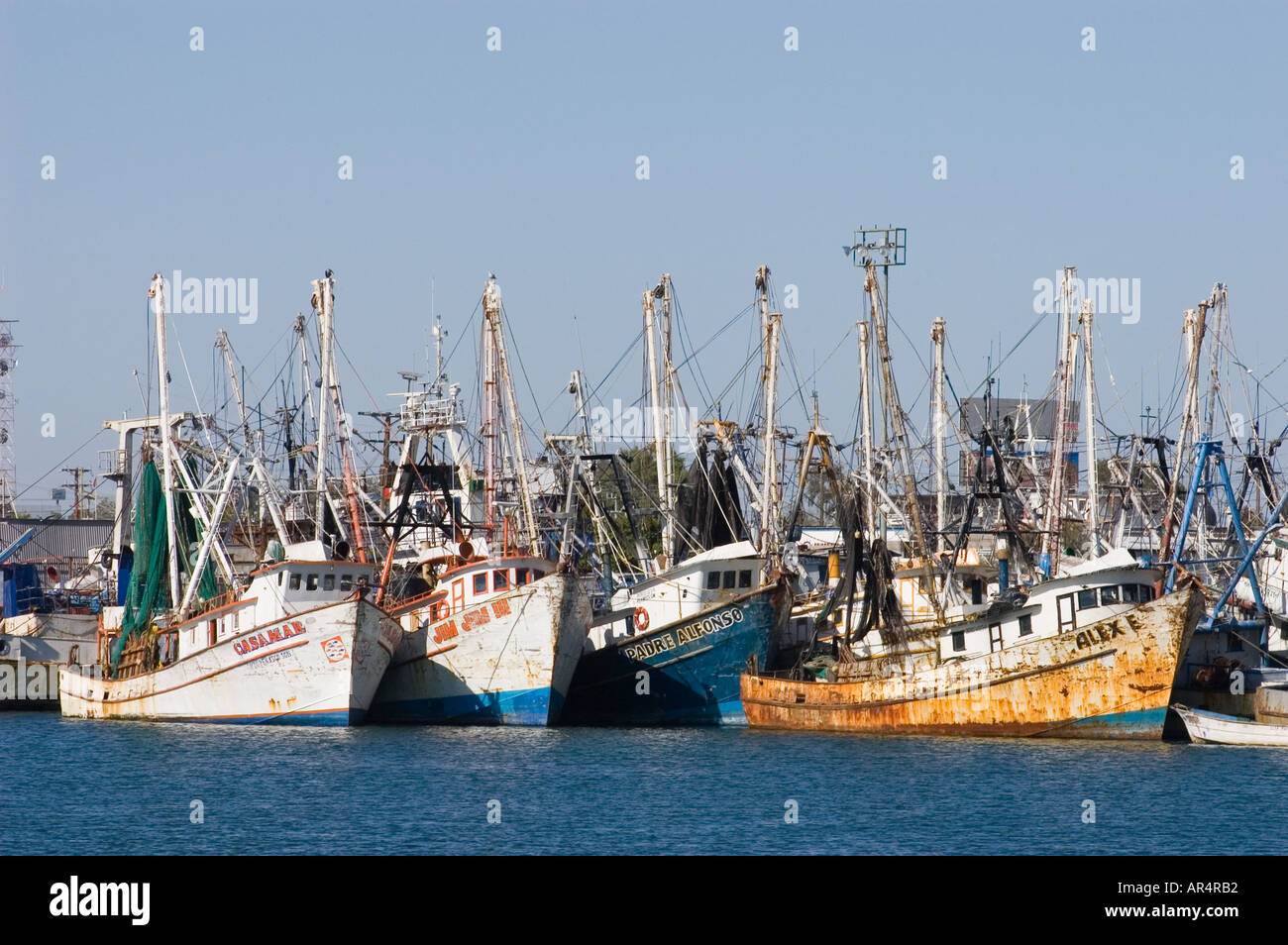 Fishing boats in harbor Puerto Penasco Sonora D0404220 Stock Photo