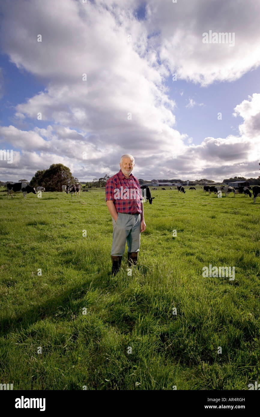 Dairy Farmer in the field with his Cows Stock Photo - Alamy