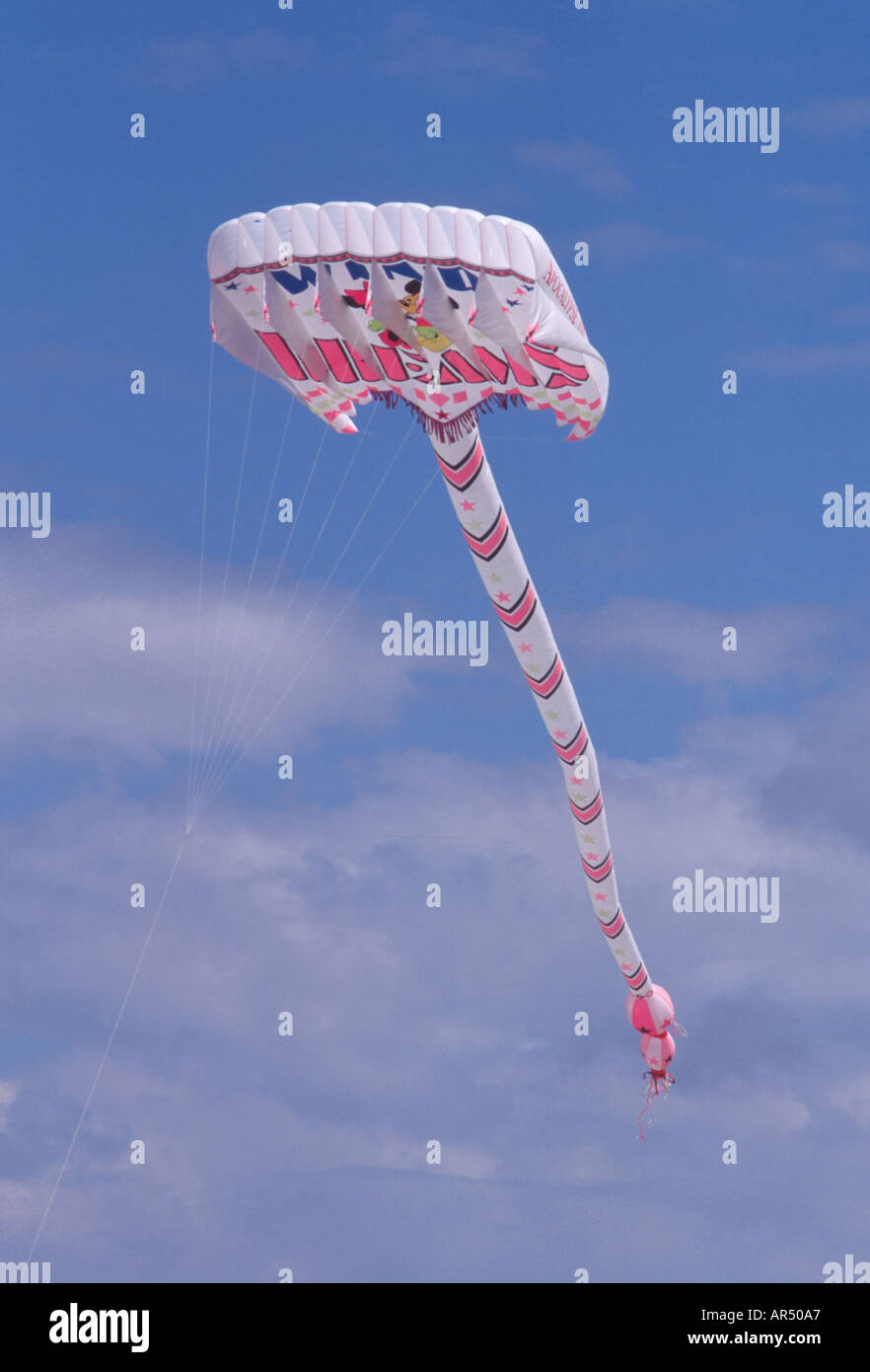 Parafoil Kite with long tail in flight Long Beach International Kite