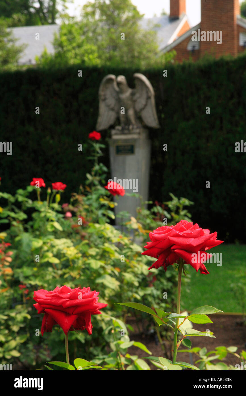 Rose Garden, Glen Burnie, Winchester, Shenandoah Valley, Virginia, USA Stock Photo
