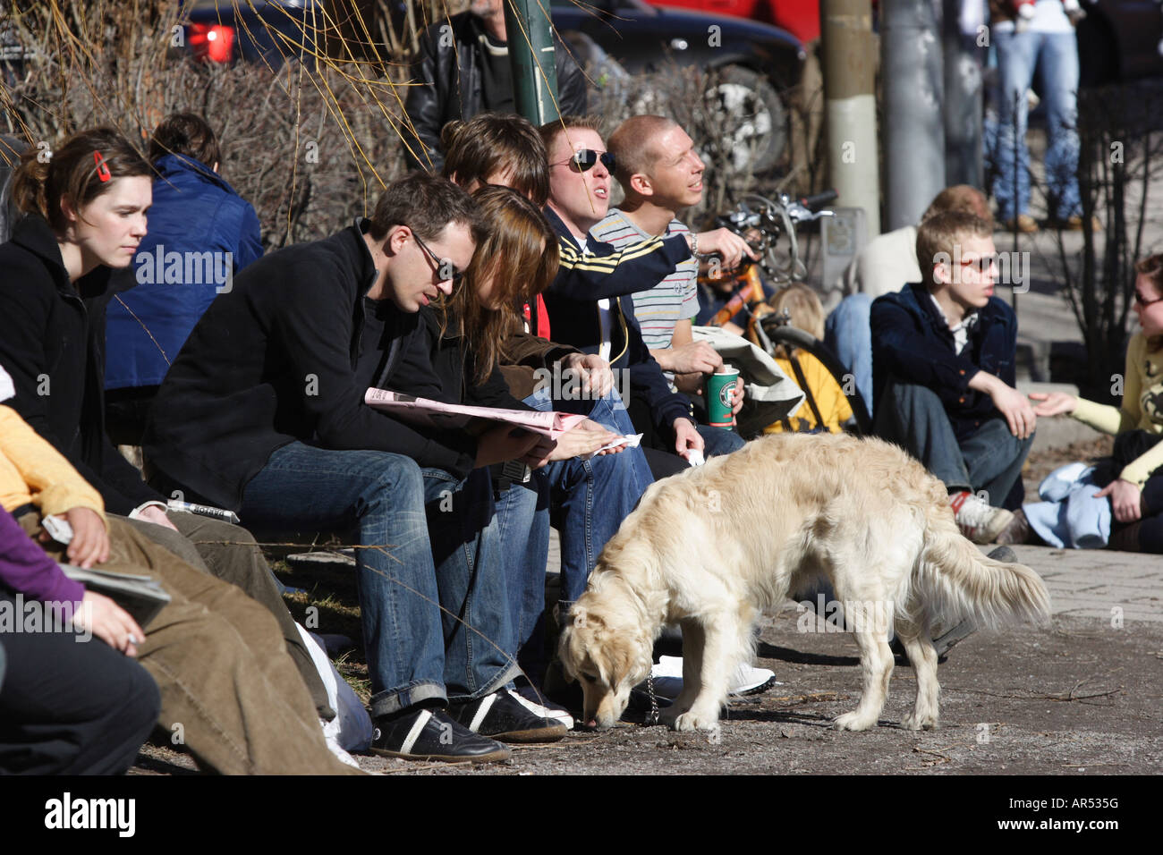 Stockholm people dog hires stock photography and images Alamy