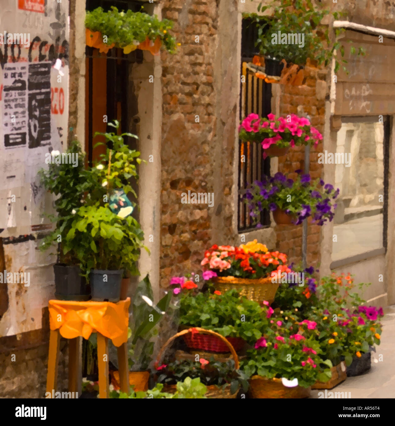 Flowers in Venice, Italy Stock Photo - Alamy