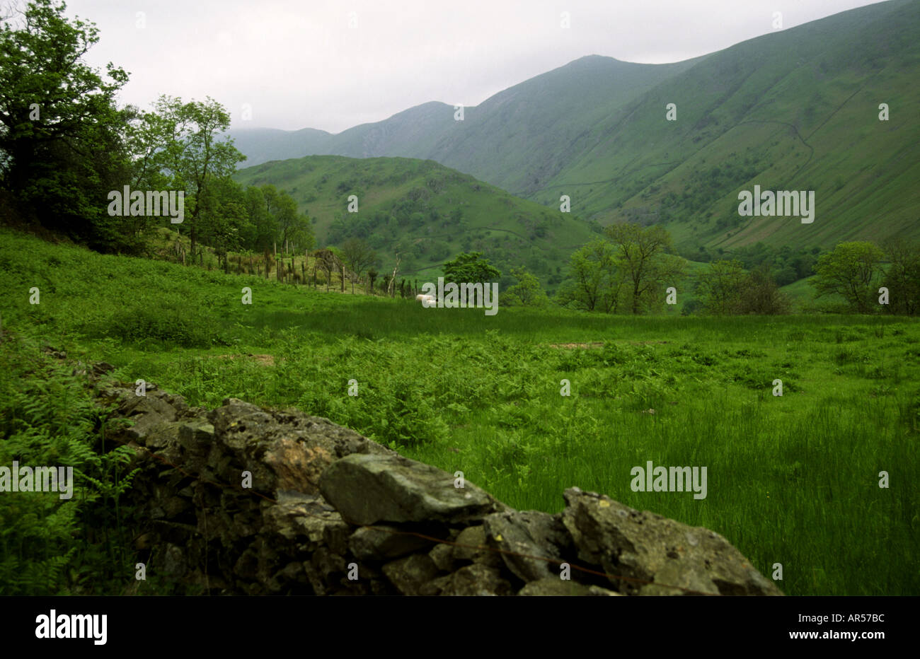 Helvellyn mountain in the Lake District Cumbria England UK Stock Photo