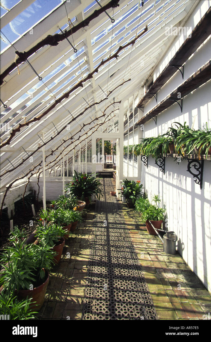 The orangerie Lost Gardens Of Heligan Cornwall Stock Photo