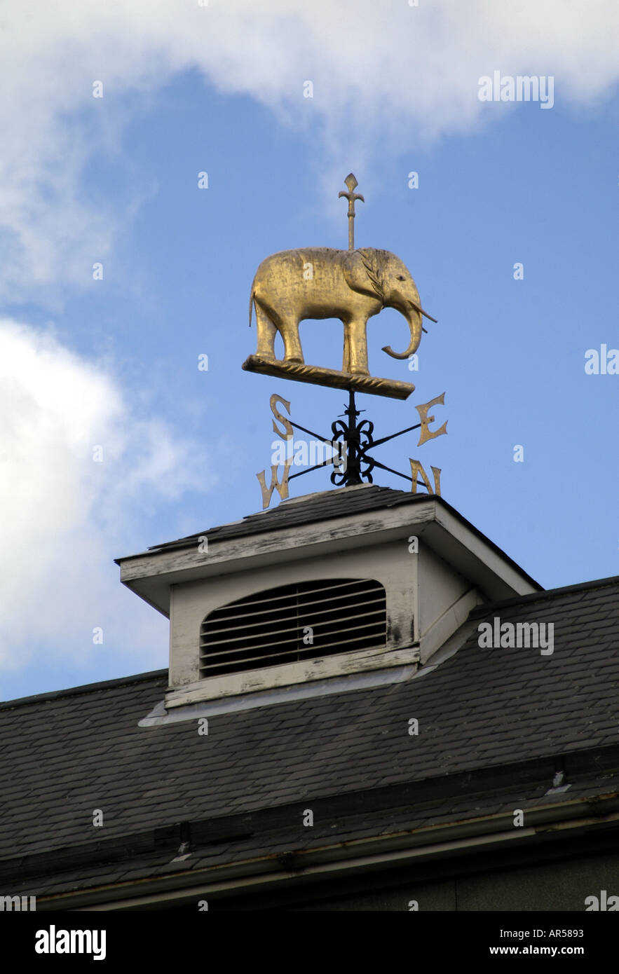 Elephant weathervane on Fremlins Brewery in Maidstone Kent Stock Photo